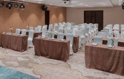 Lorem ipsum dolor sit amet consectetur. Sapien proin risus mollis commodo proin. 3